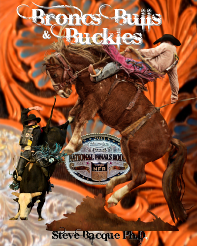 Book3-Broncs-Bulls-Buckles